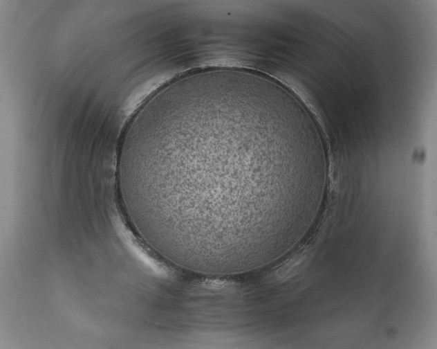 X0000111810437200907301236