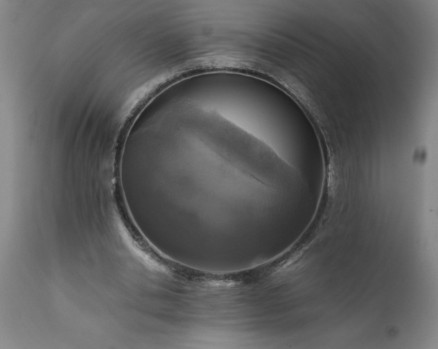 X0000111810438200907301236
