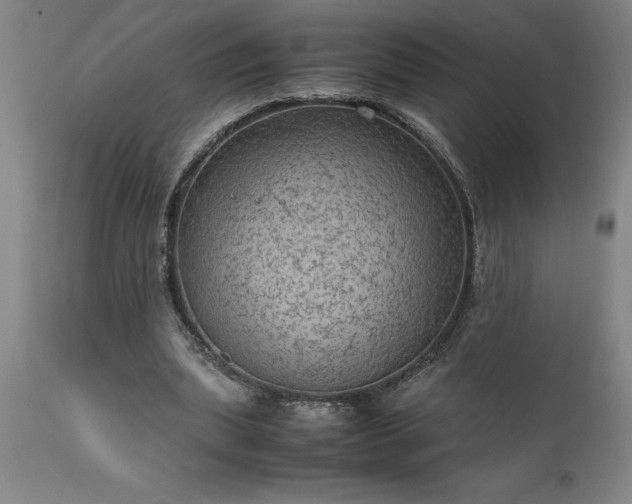 X0000111810439200907301236