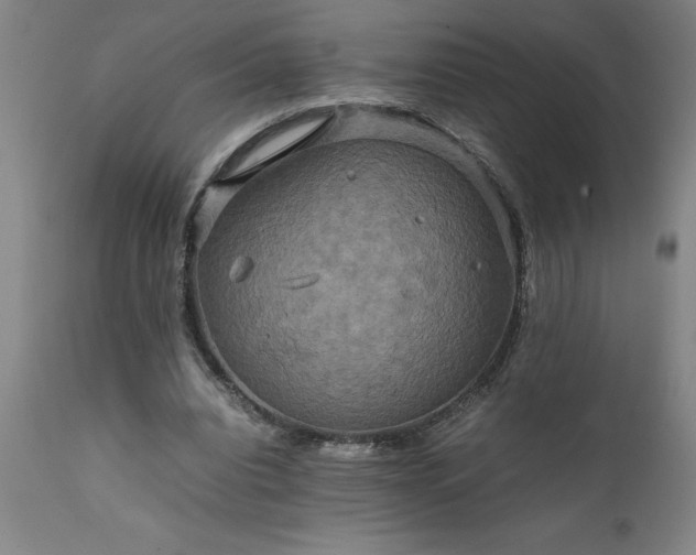 X0000111810440200907301237