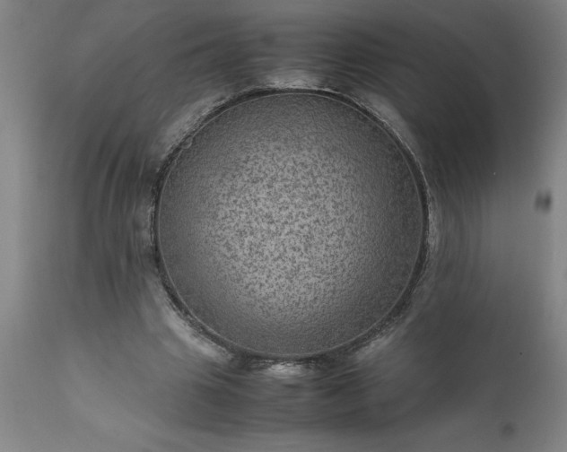 X0000111810441200907301237