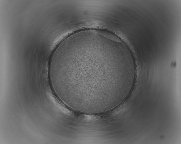 X0000111810442200907301237