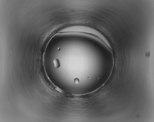X0000111810444200907301237