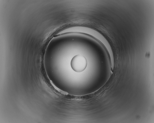 X0000111810448200907301237