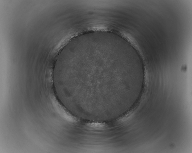 X0000111810449200907301237