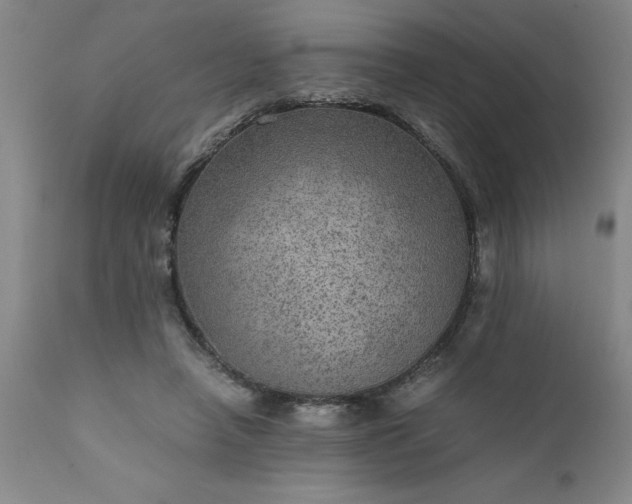 X0000111810450200907301237