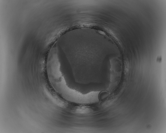 X0000111810451200907301237
