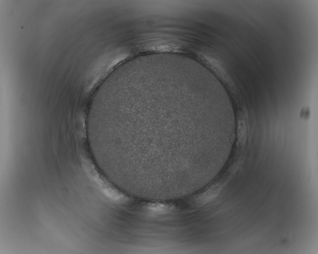 X0000111810453200907301237