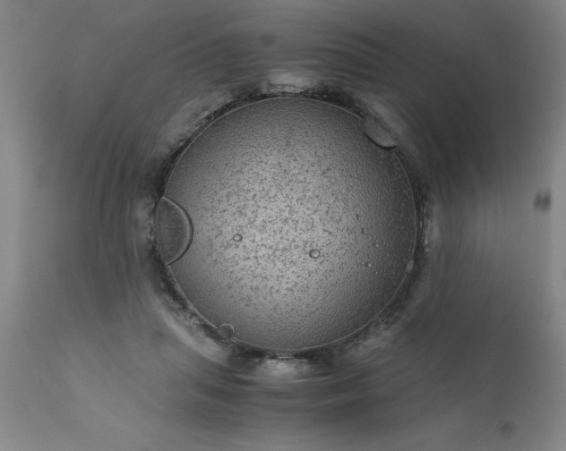 X0000111810455200907301237
