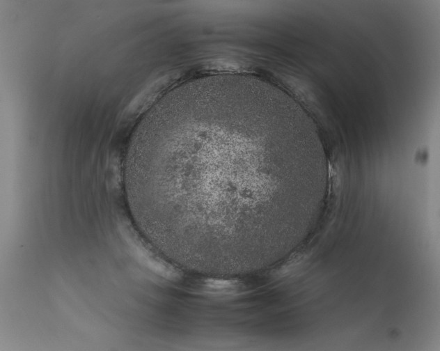 X0000111810457200907301237