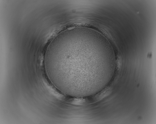 X0000111810458200907301237