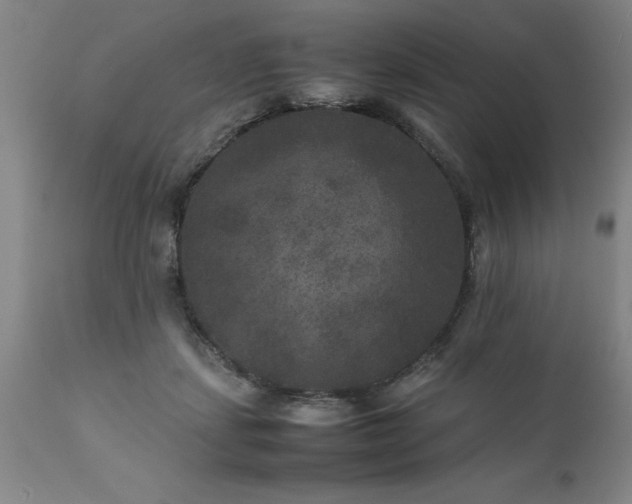 X0000111810459200907301237