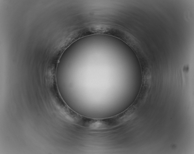 X0000111810460200907301237
