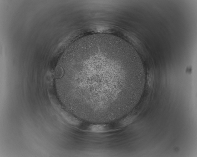 X0000111810461200907301237