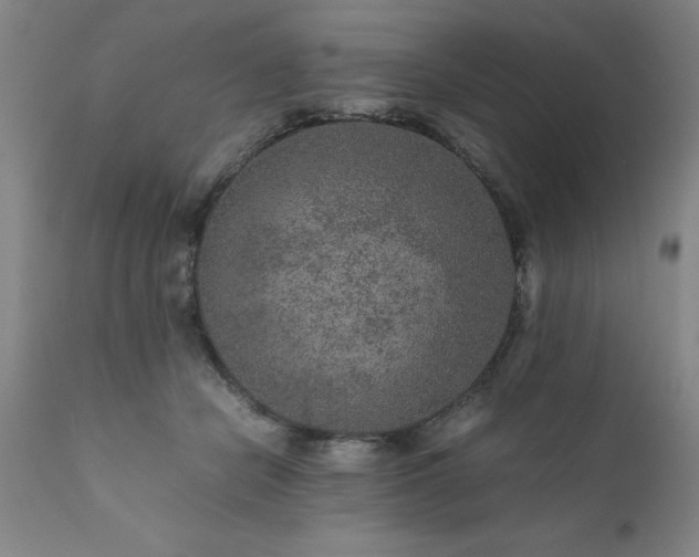 X0000111810462200907301237