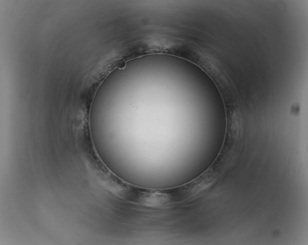 X0000111810463200907301237