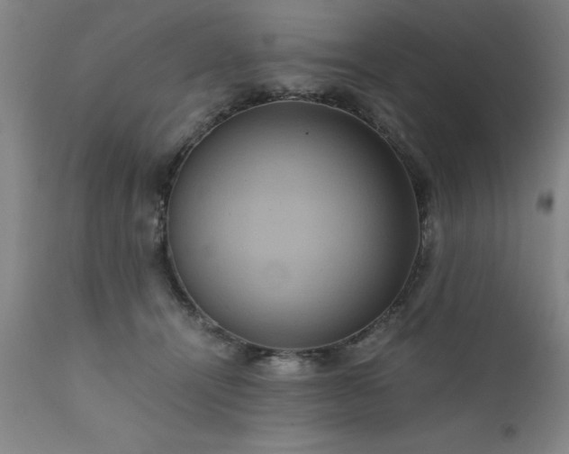 X0000111810464200907301237