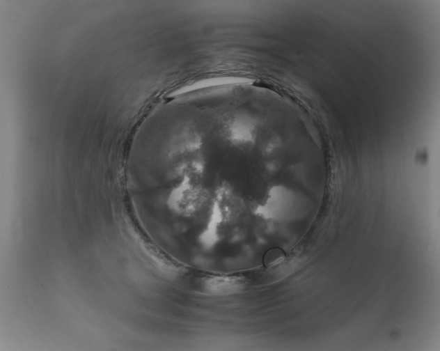 X0000111810465200907301237
