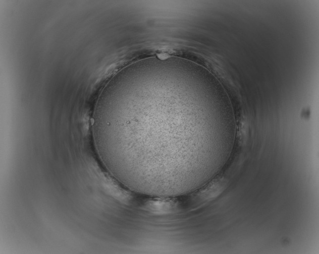 X0000111810466200907301237