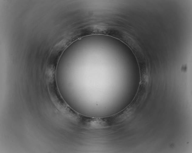 X0000111810468200907301237