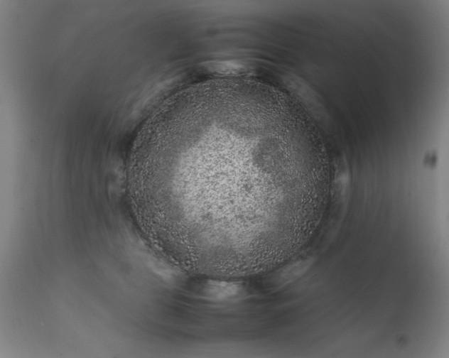 X0000111810469200907301237