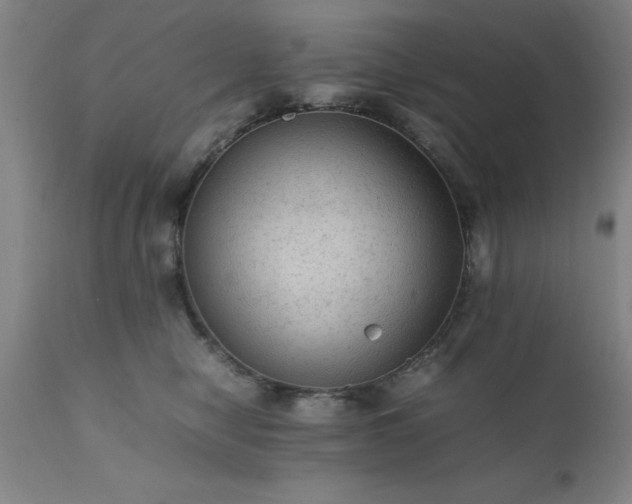 X0000111810470200907301237