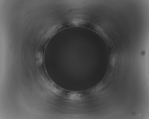 X0000111810471200907301237