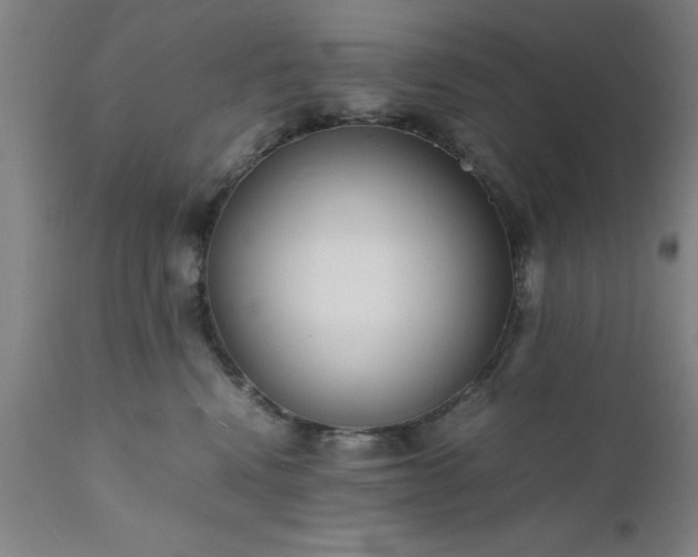 X0000111810472200907301237