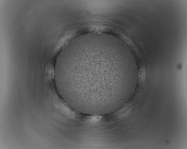 X0000111810474200907301237