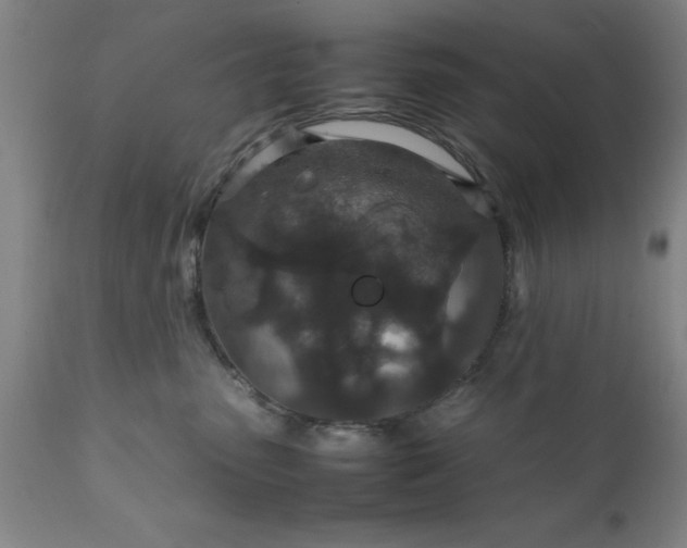 X0000111810475200907301237