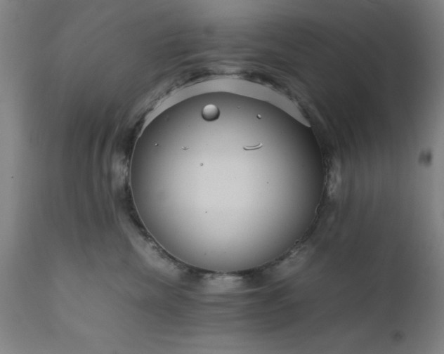 X0000111810476200907301237