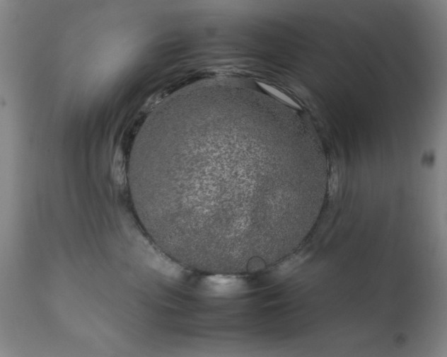 X0000111810477200907301237
