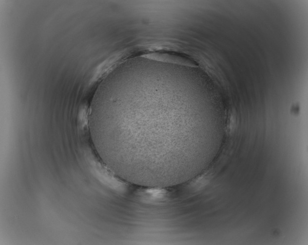 X0000111810478200907301237