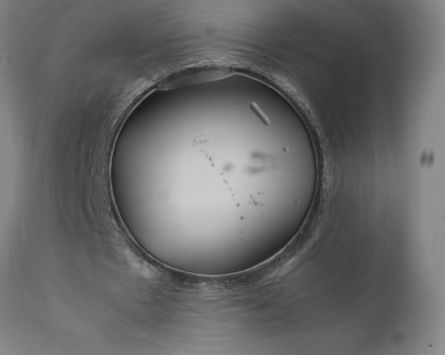 X0000111810481200907301236
