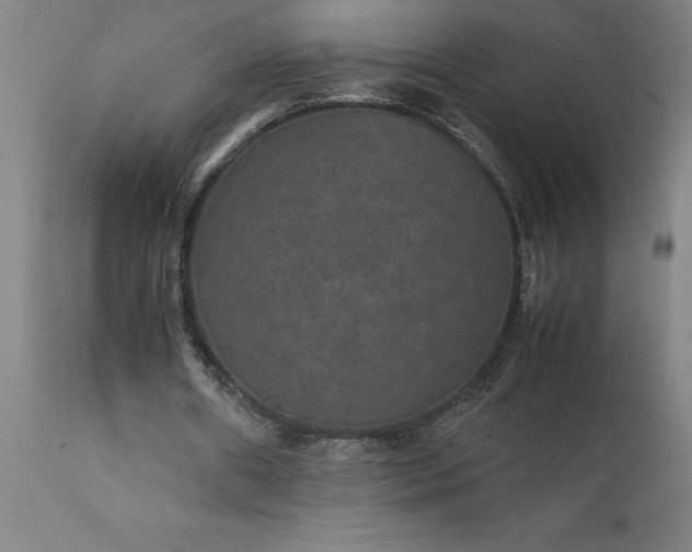 X0000111810482200907301236