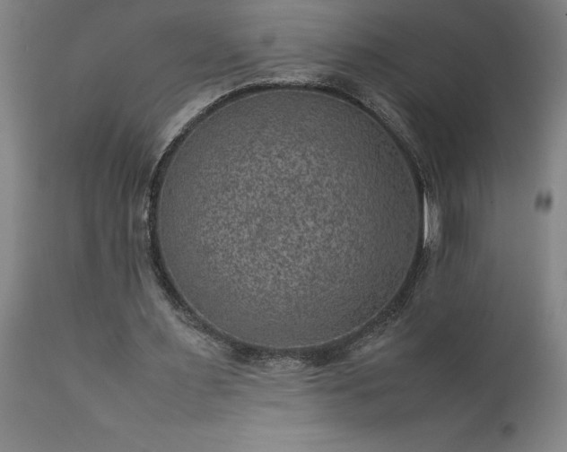 X0000111810483200907301236