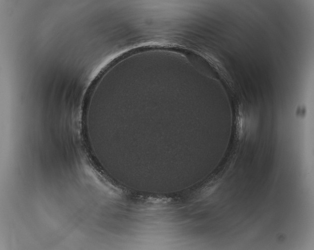 X0000111810484200907301236