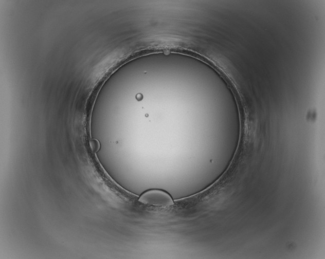X0000111810485200907301236