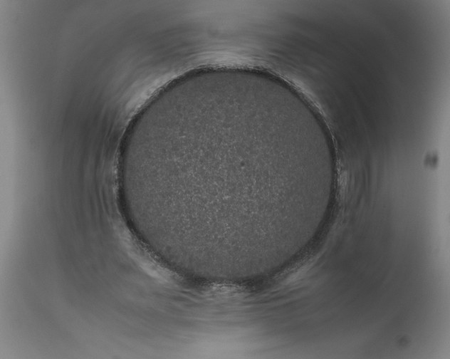 X0000111810487200907301236