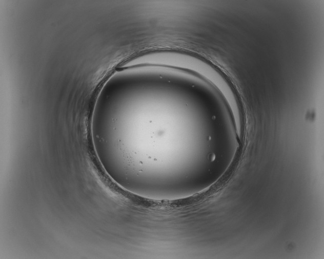 X0000111810489200907301236