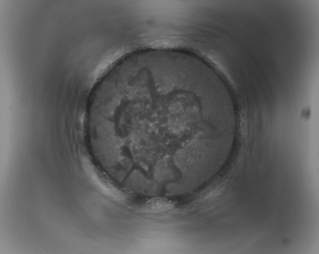 X0000111810491200907301236