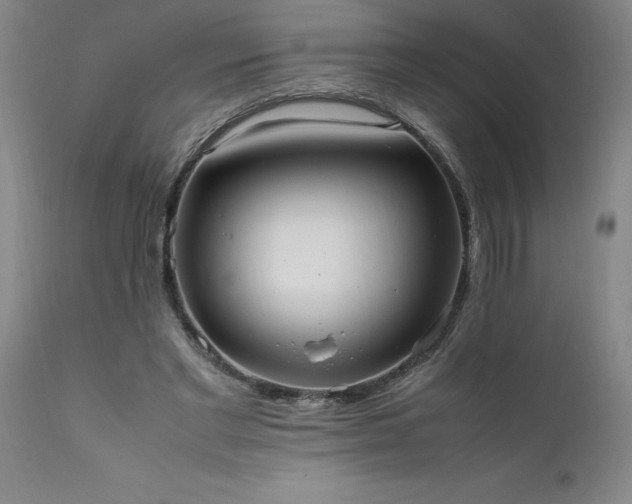 X0000111810493200907301236