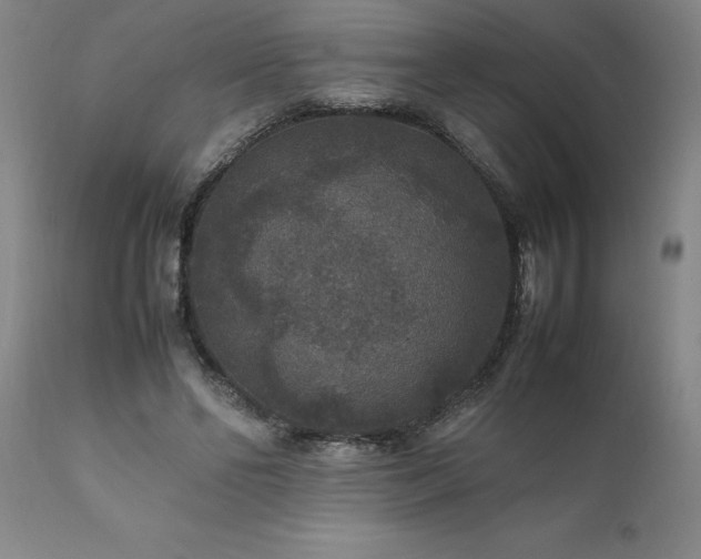X0000111810494200907301236