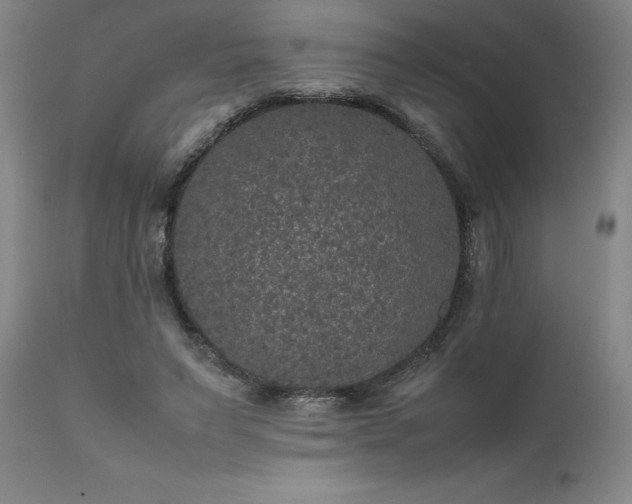X0000111810495200907301236