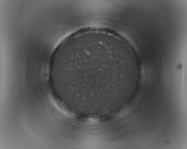 X0000111810496200907301236