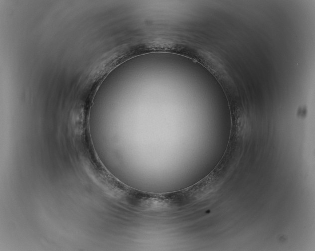X0000111810498200907301236