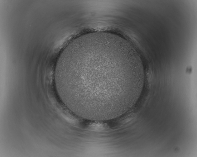 X0000111810499200907301236
