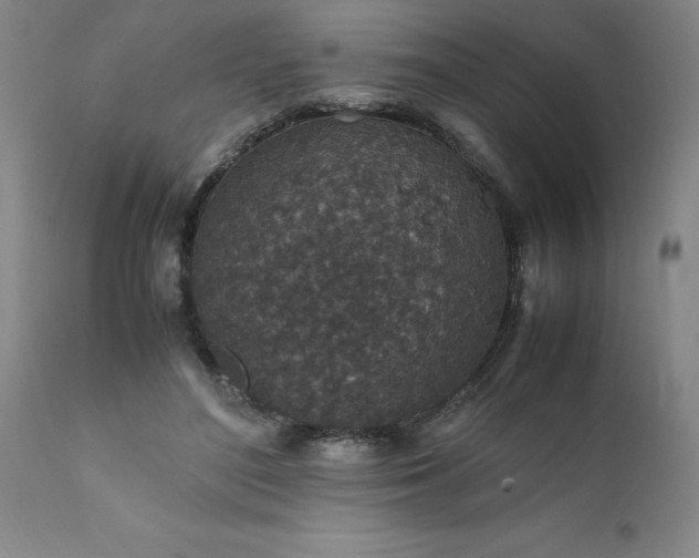 X0000111810500200907301236