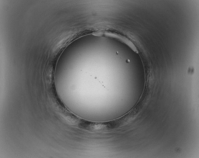 X0000111810501200907301236