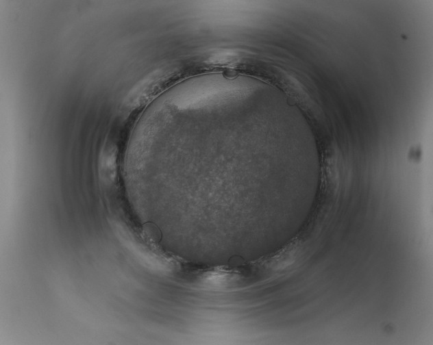X0000111810504200907301236